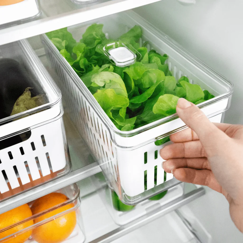Lava e Seca Saladas Premium: praticidade, frescor e mais leveza para sua rotina 1 organizadorgeladeira